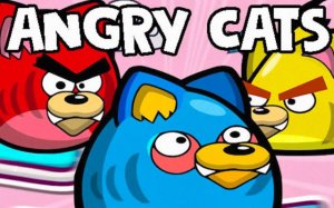 Angry Cats: Physics Aiming Sports Game Online