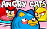 Angry Cats - Physics Aiming Sports Game