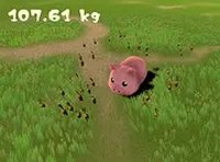 Lot Lot Carrot Online Game
