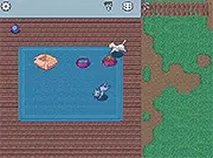 KittyToy Cat Caretaking Simulator Online Game