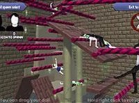 Ani Ragdoll Online Game