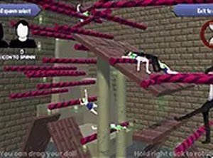 Ani Ragdoll Online Game